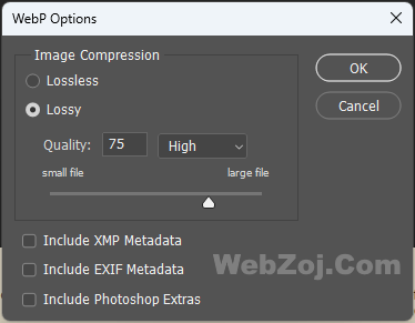 WebP Options in Photoshop